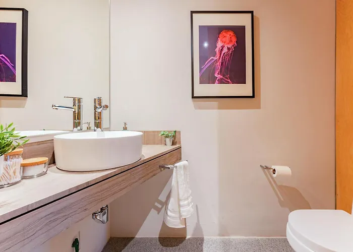 New Polanco Penthouses Roof Terrace And 24h Security Apartment