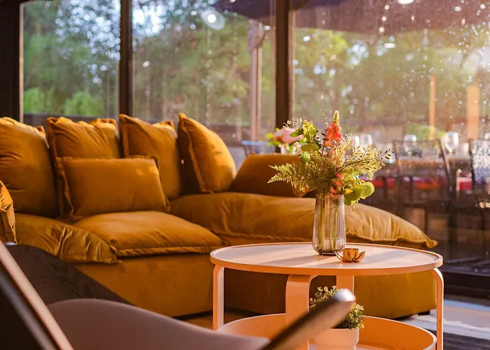 New Polanco Penthouses Roof Terrace And 24h Security