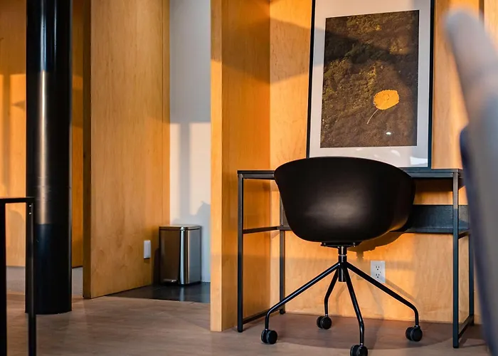 New Polanco Penthouses Roof Terrace And 24h Security Apartment